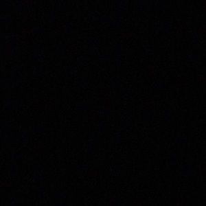 Meet your Posher, Bianca